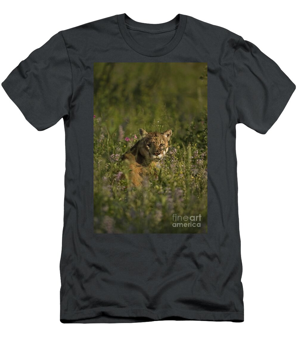 Mountain Lion Animals 5 Robert Weiman T-Shirt