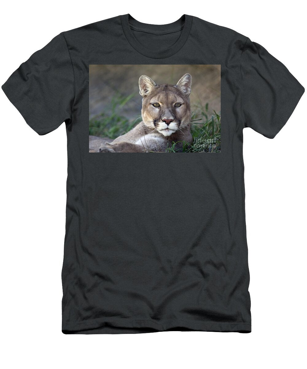 Mountain Lion Brandon Alms T-Shirt