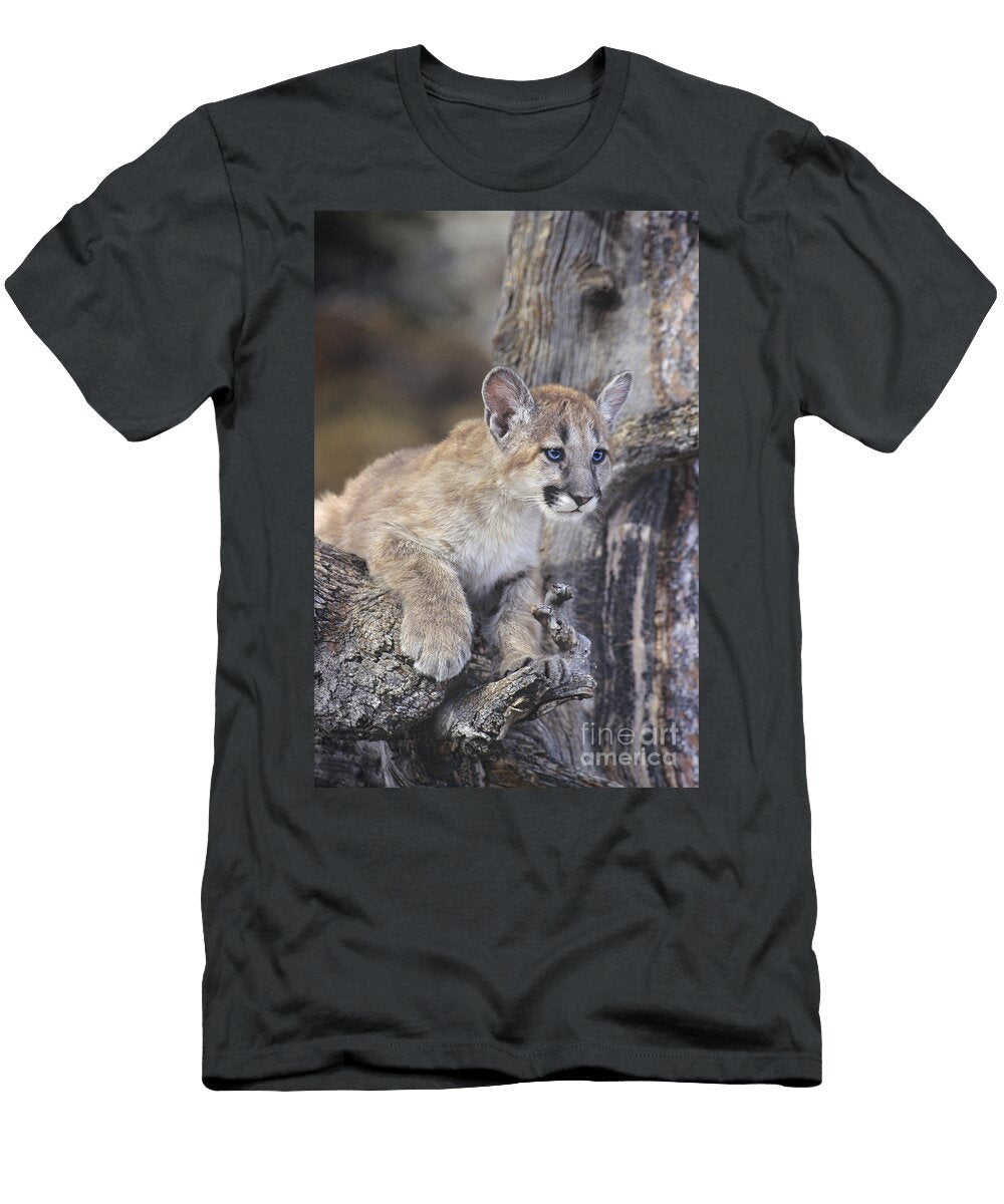 Mountain Lion Cub on Tree Branch Dave Welling T-Shirt