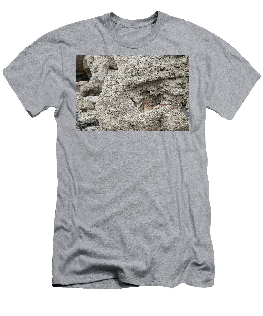 Mountain Lion Cub Sheltered Along Sarmiento Lake Sebastian Kennerknecht T-Shirt