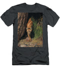 Mountain Lion Emerging From Shadows David Stribbling T-Shirt