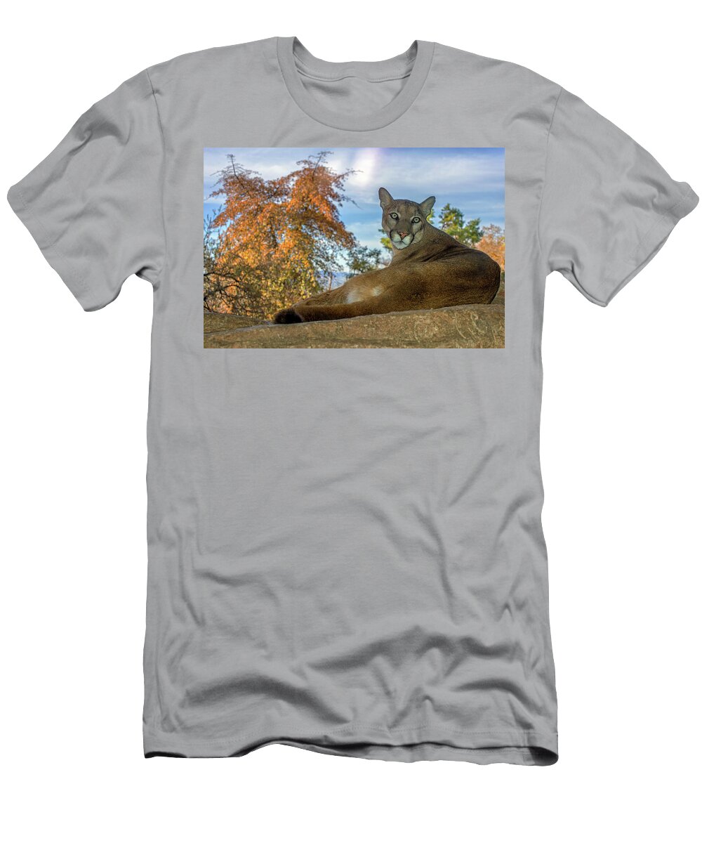 Mountain Lion Evelyn Harrison T-Shirt
