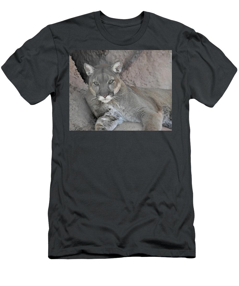 Mountain Lion in the Desert Vicky Sweeney T-Shirt