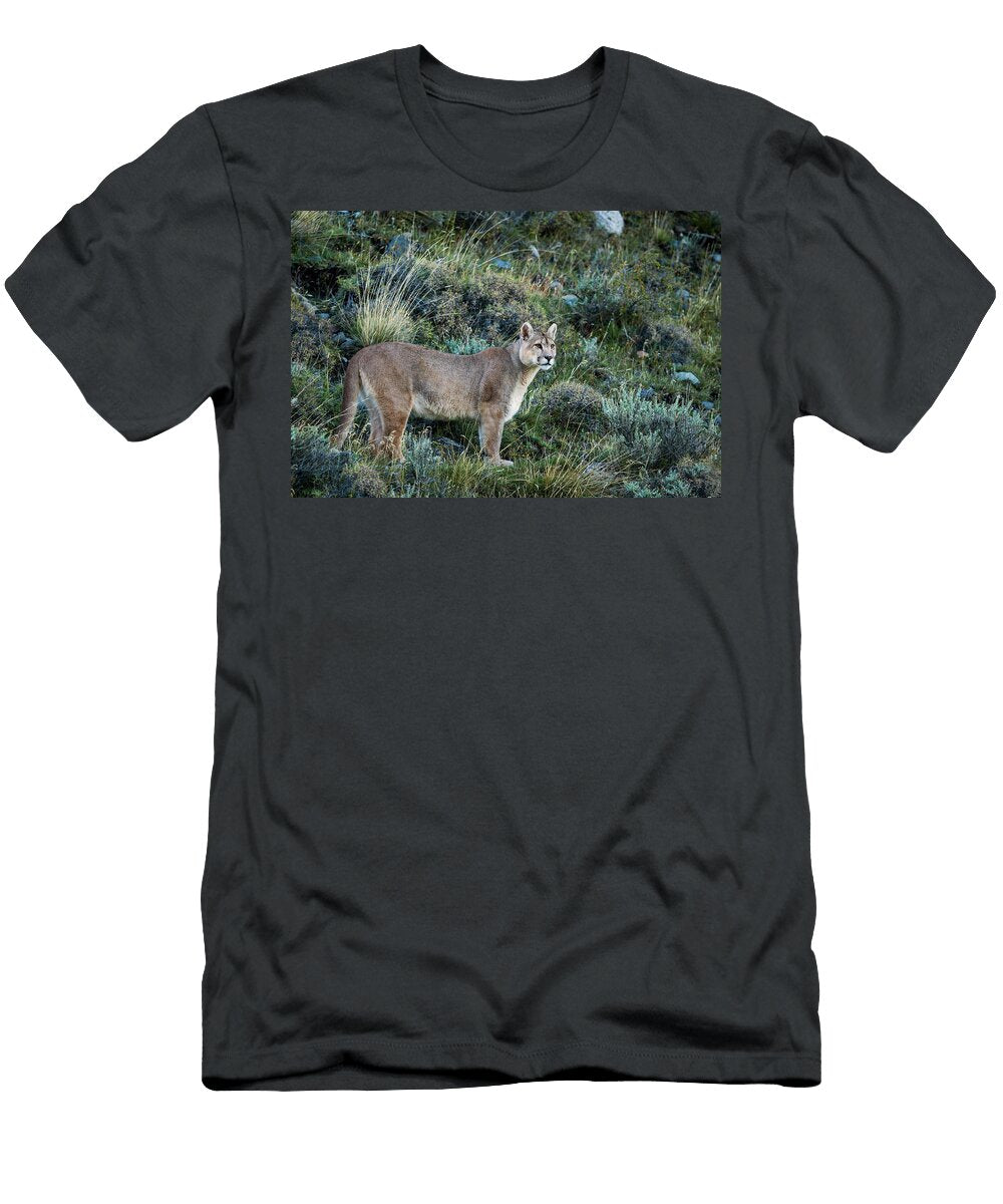 Mountain Lion in Torres Del Paine Sebastian Kennerknecht T-Shirt