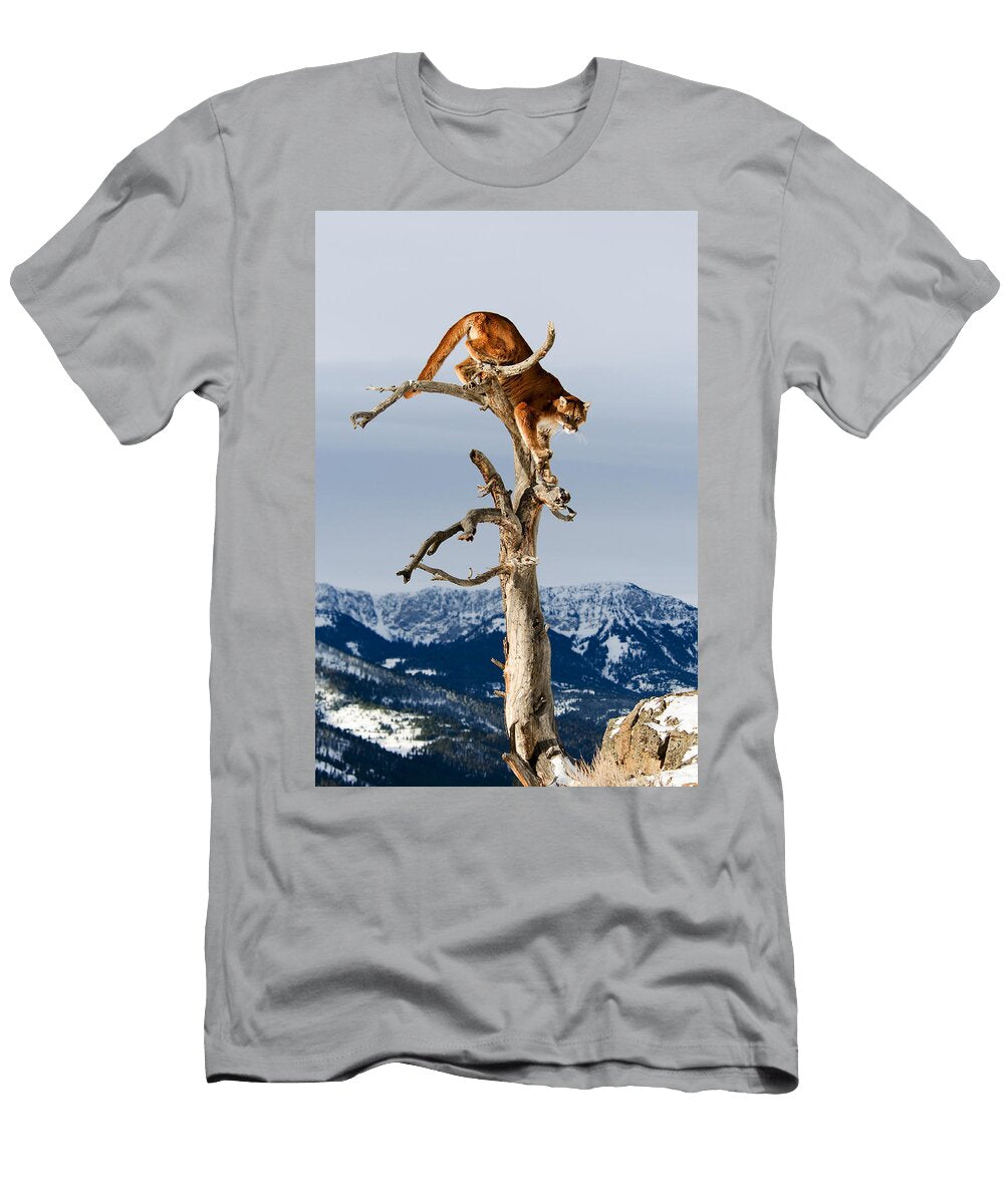 Mountain Lion in Tree Scott Read T-Shirt