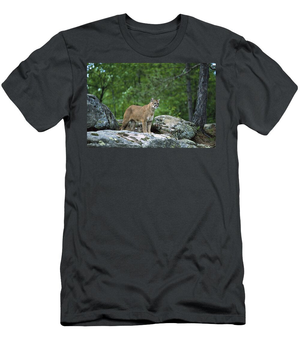 Mountain Lion Konrad Wothe T-Shirt