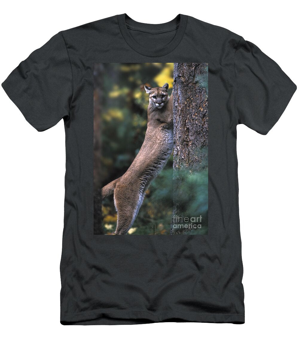 Mountain Lion Mark Newman T-Shirt