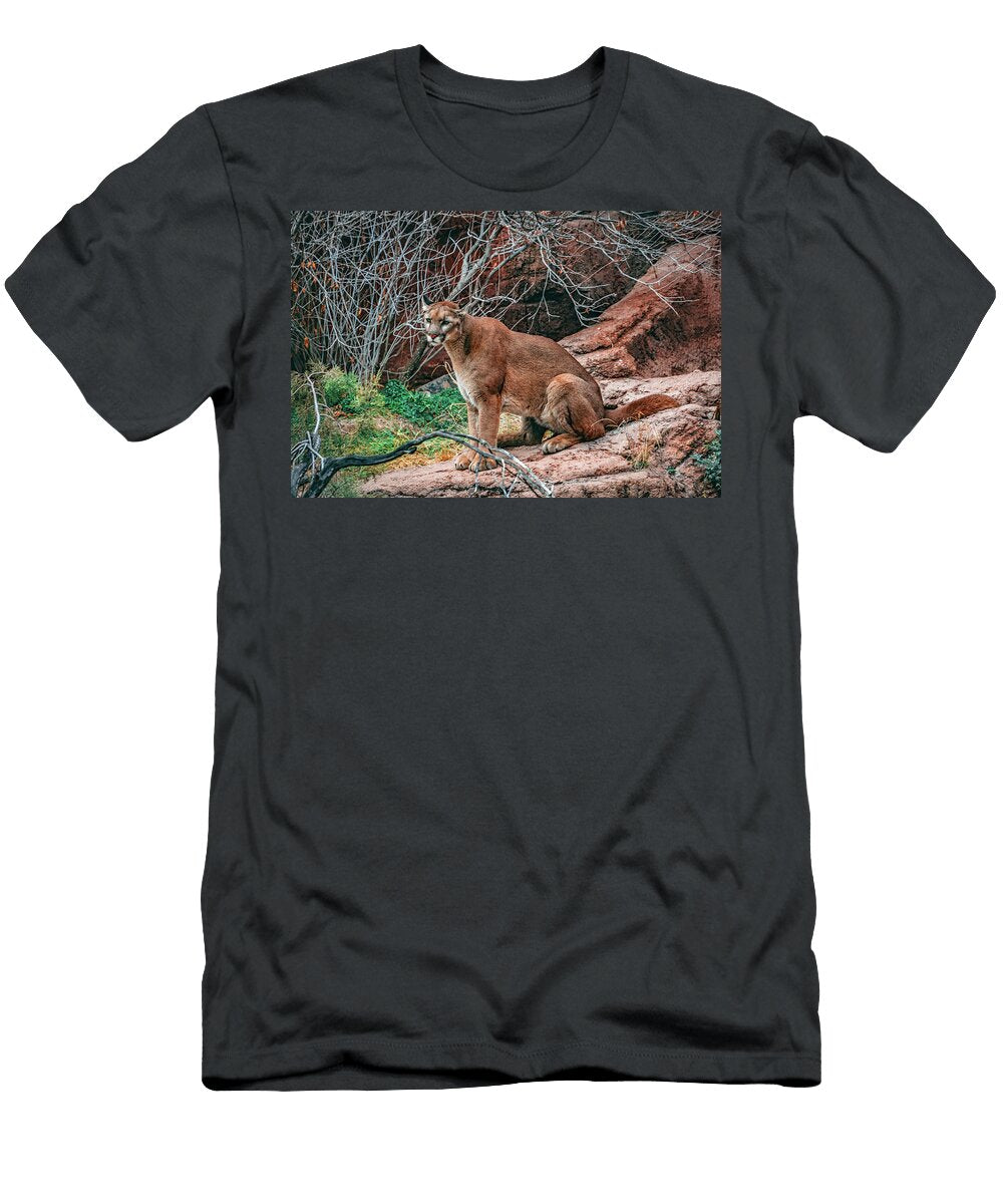 Mountain Lion on Rock Running Brook Galleries T-Shirt