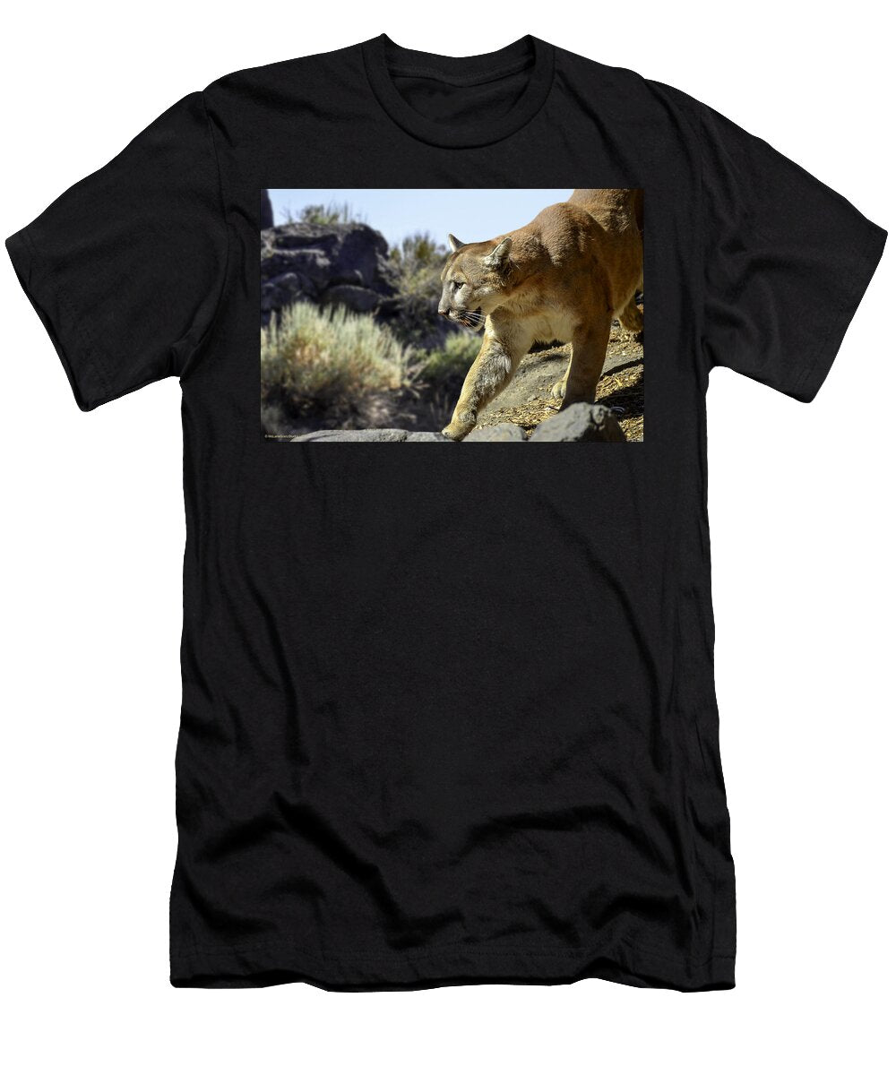 Mountain Lion on the Prowl Leeann Mclanegoetz Mclanegoetzstudiollccom T-Shirt