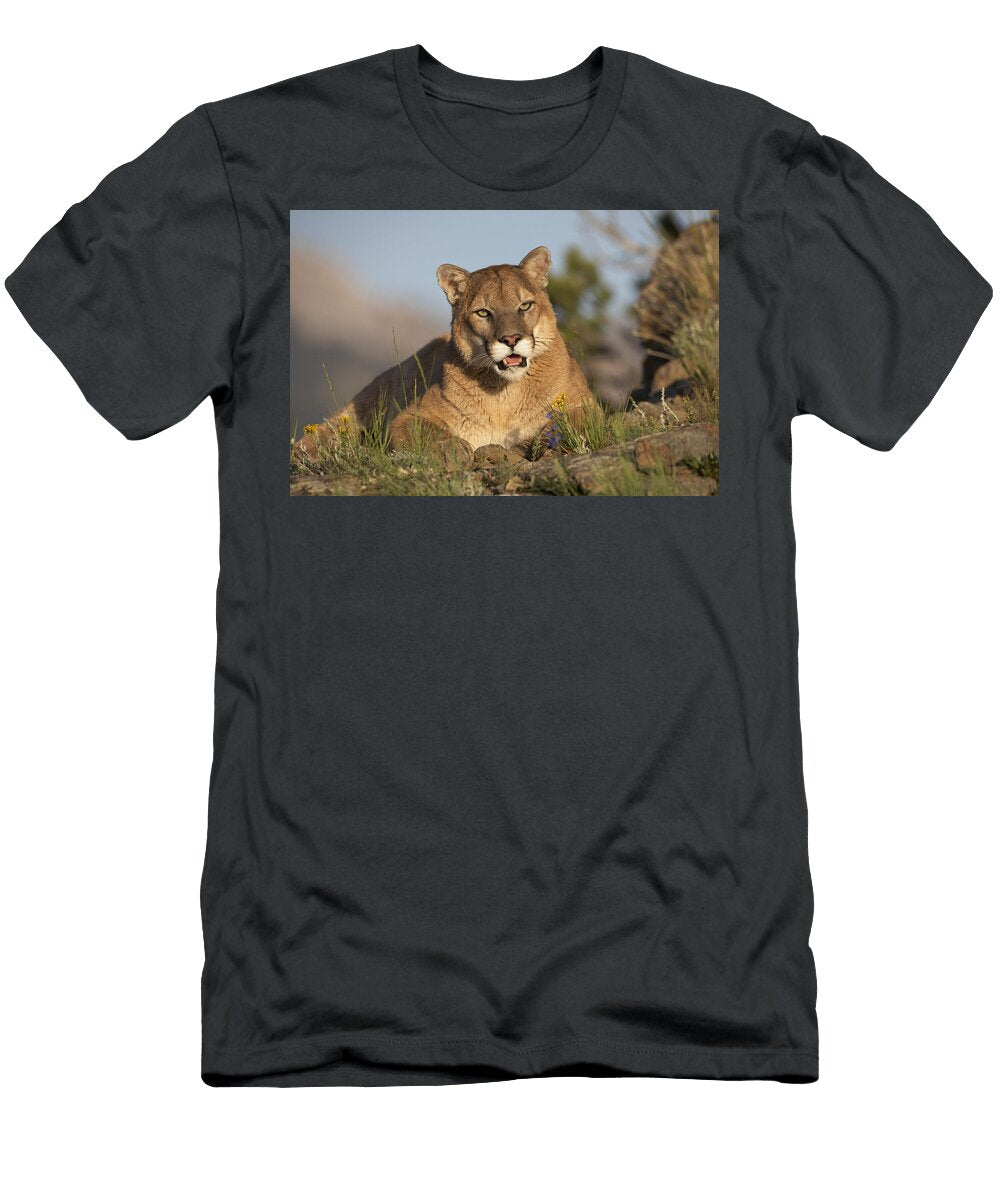 Mountain Lion Portrait North America Tim Fitzharris T-Shirt