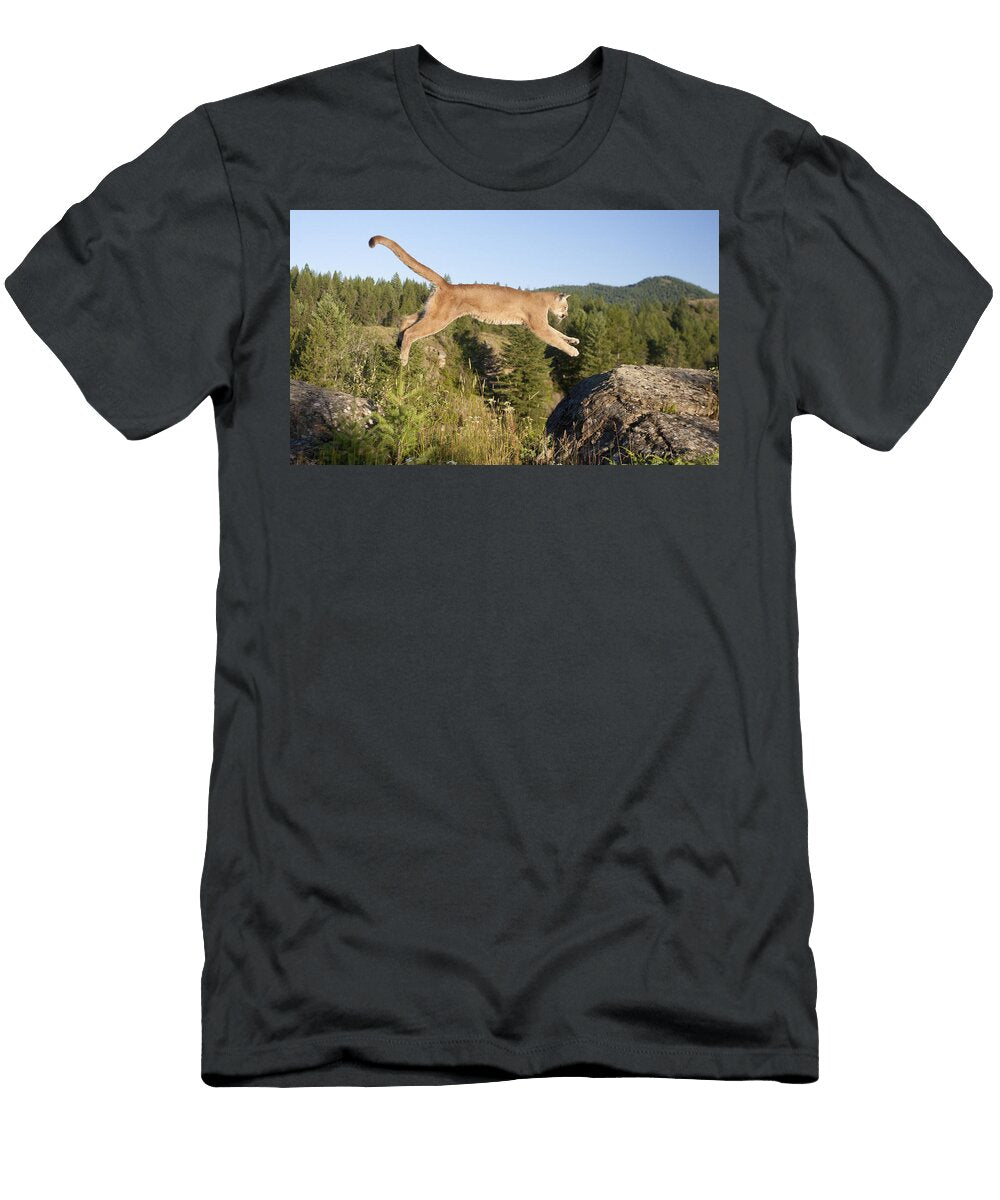 Mountain Lion Puma Concolor Jumping Matthias Breiter T-Shirt