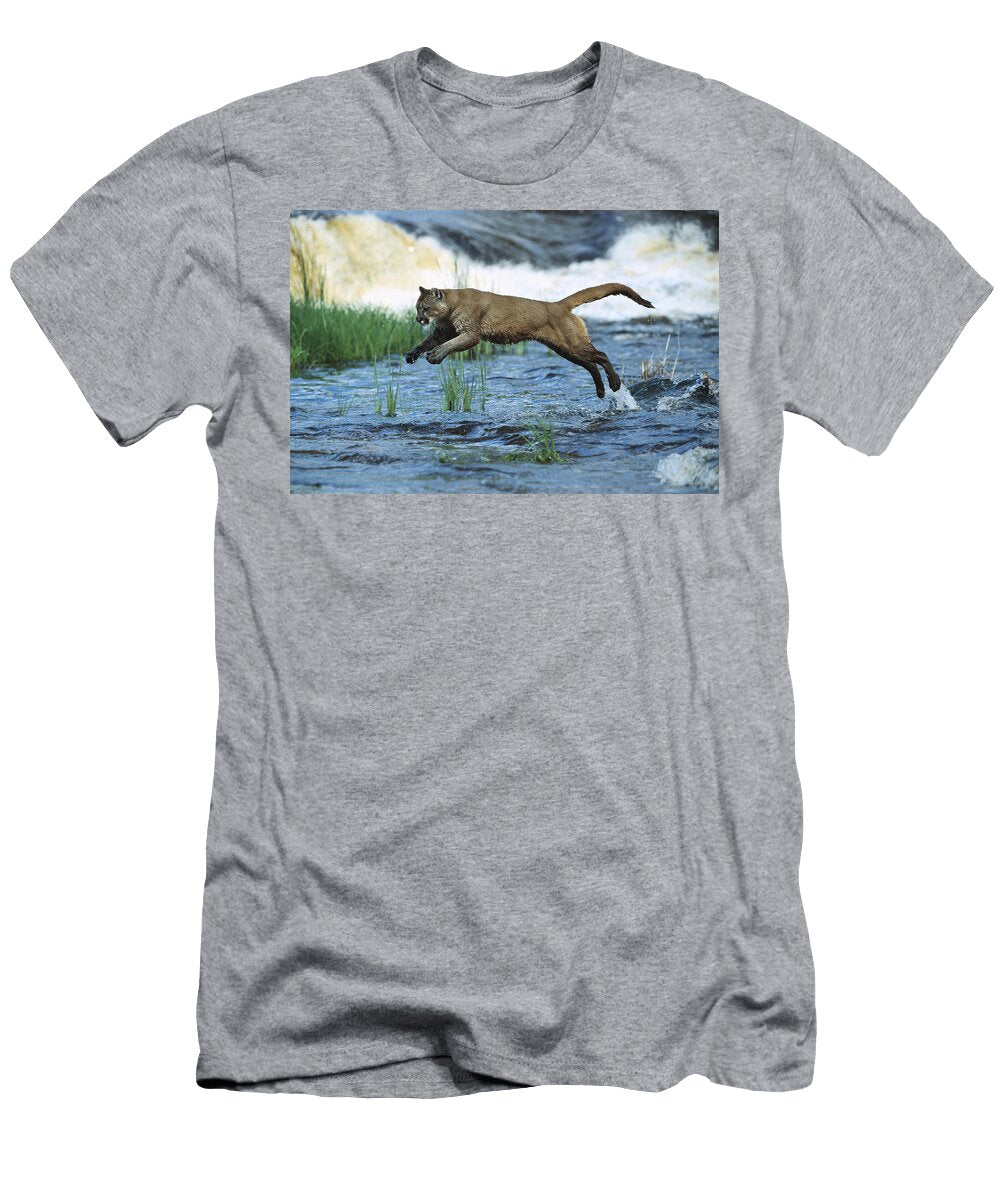 Mountain Lion Puma Concolor Leaping Konrad Wothe T-Shirt