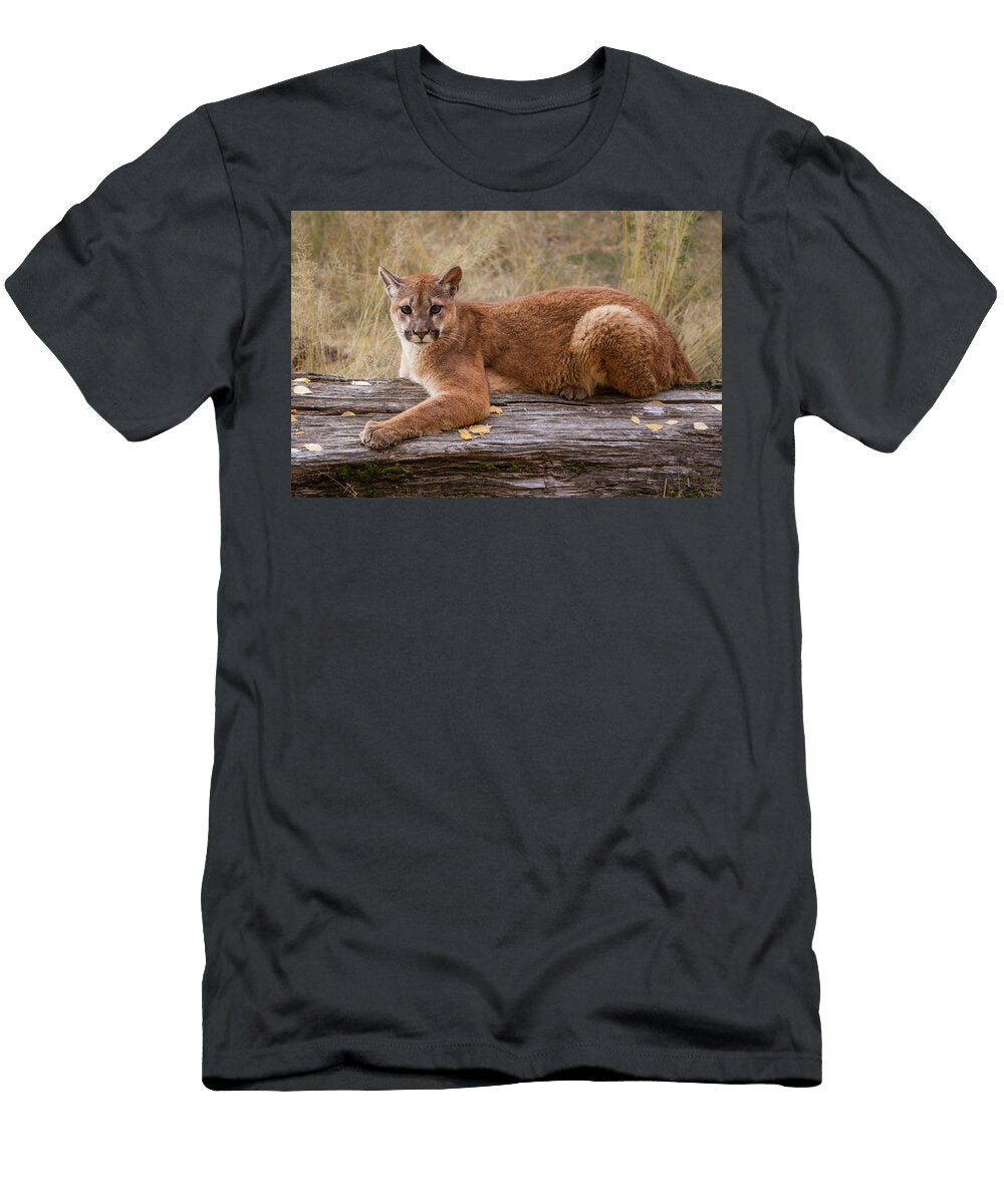Mountain Lion Resting on a Log Jerry Fornarotto T-Shirt