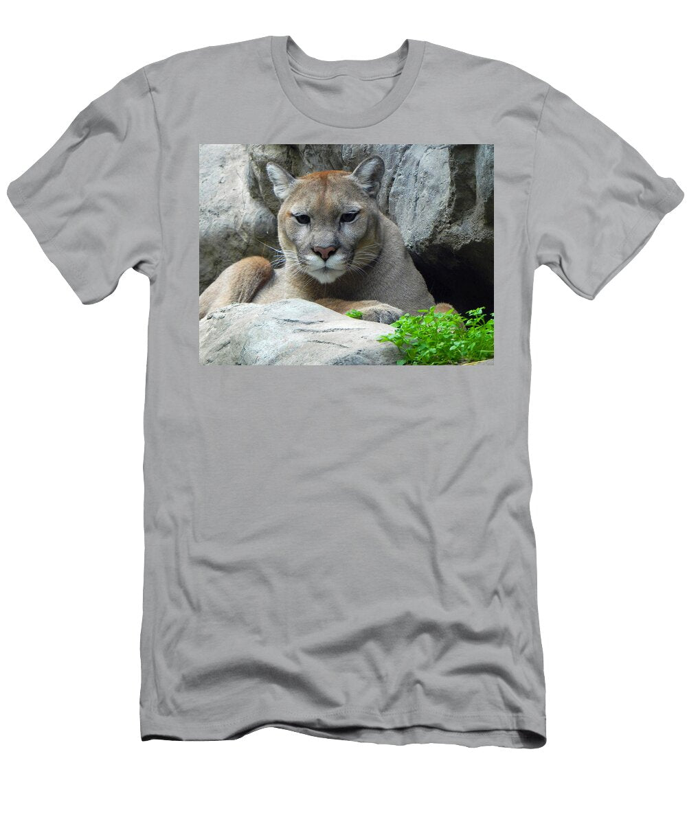 Mountain Lion Resting Steve Anderson T-Shirt