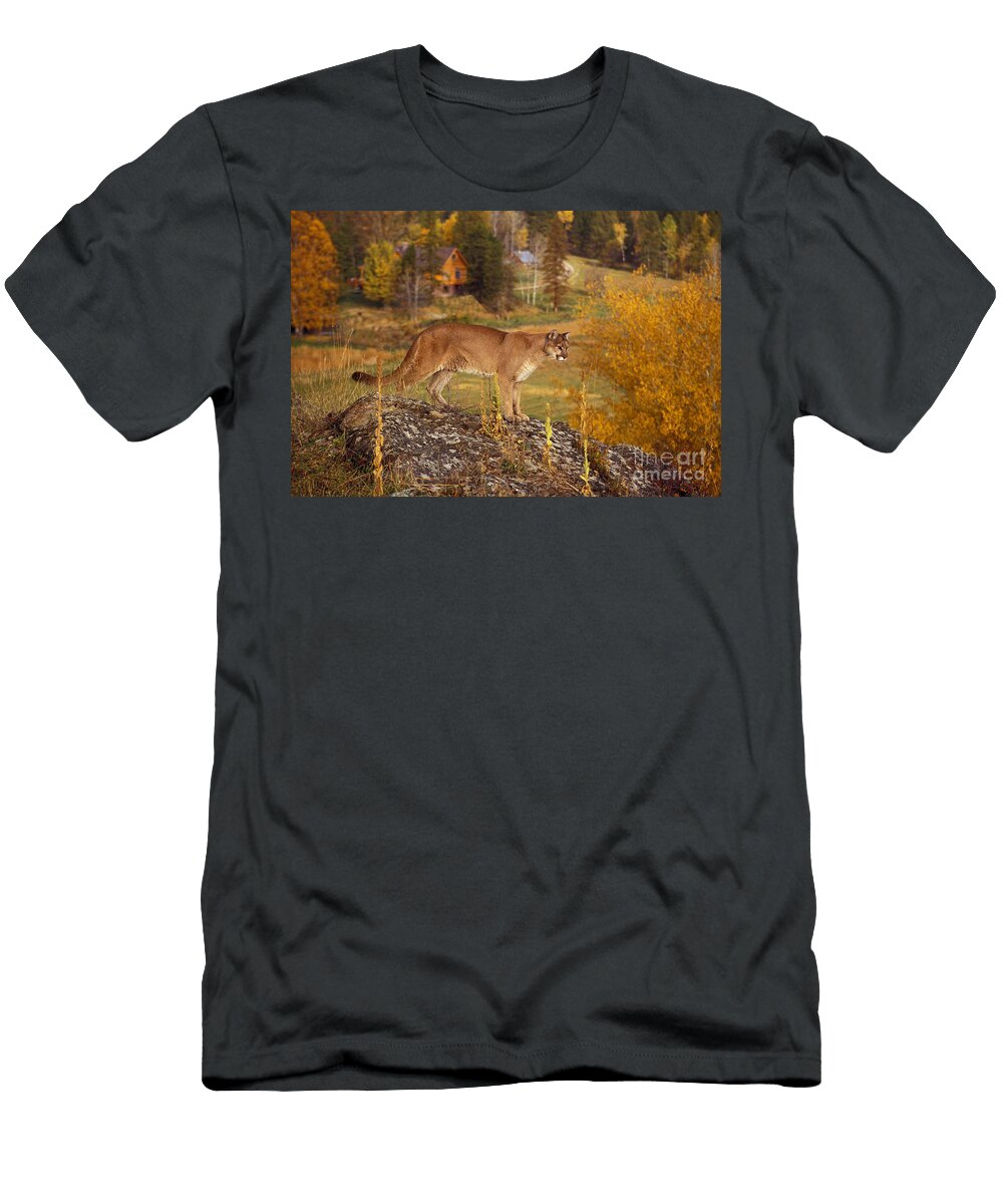 Mountain Lion Ron Sanford T-Shirt
