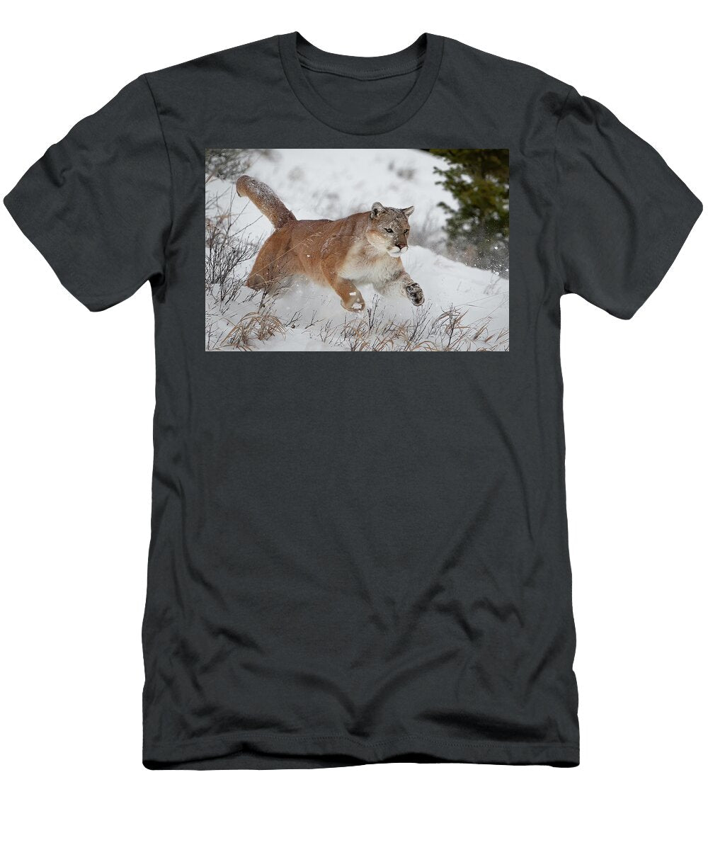 Mountain Lion Running in Snow Jerry Fornarotto T-Shirt