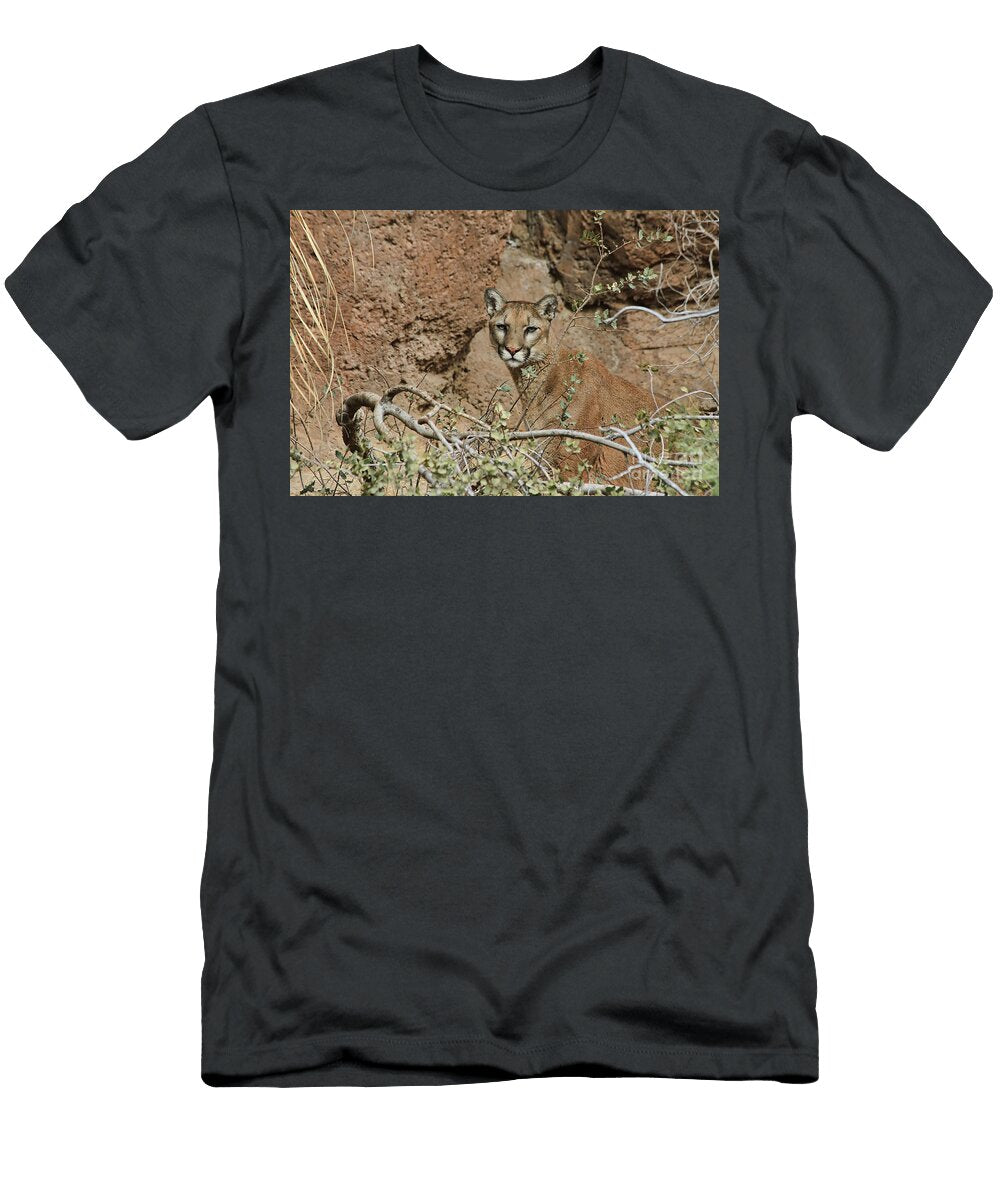 Mountain Lion Teresa Zieba T-Shirt