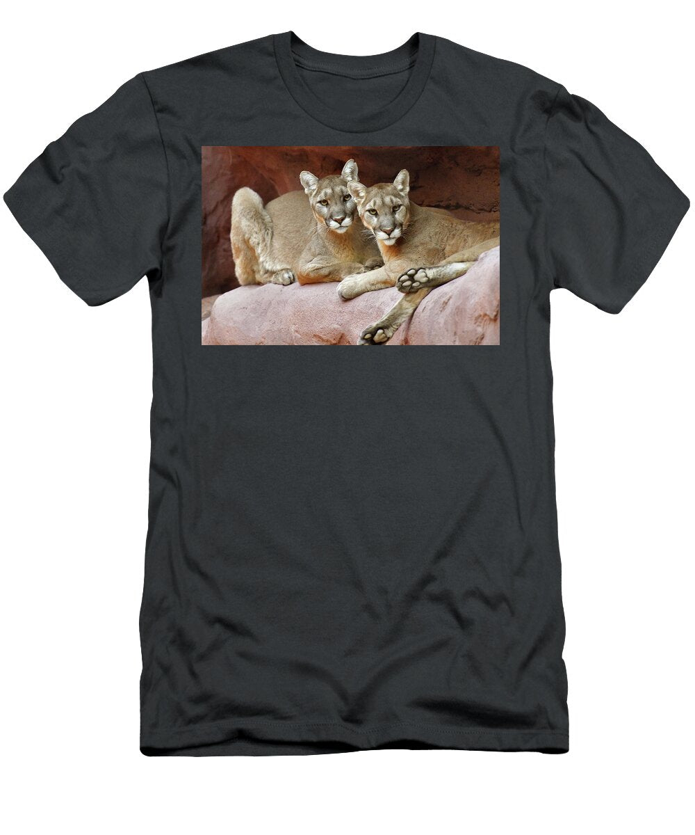 Mountain Lions on Ledge Dean Hueber T-Shirt