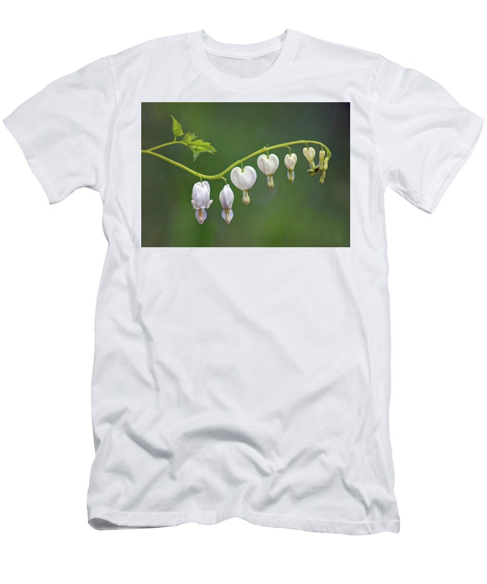 Natures Necklace Bleeding Heart Flowers Nikolyn Mcdonald T-Shirt