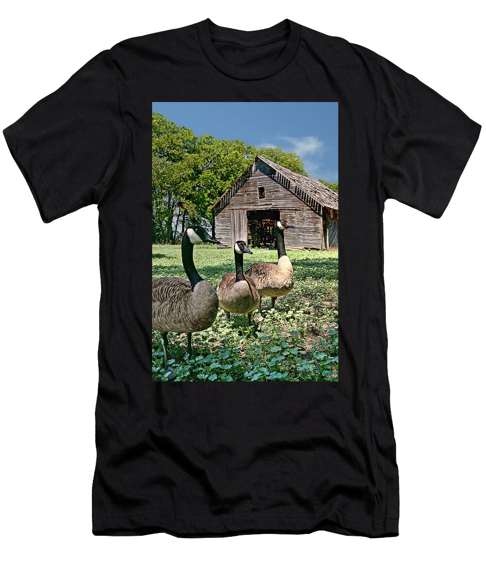 Our Place 2 Nikolyn Mcdonald T-Shirt