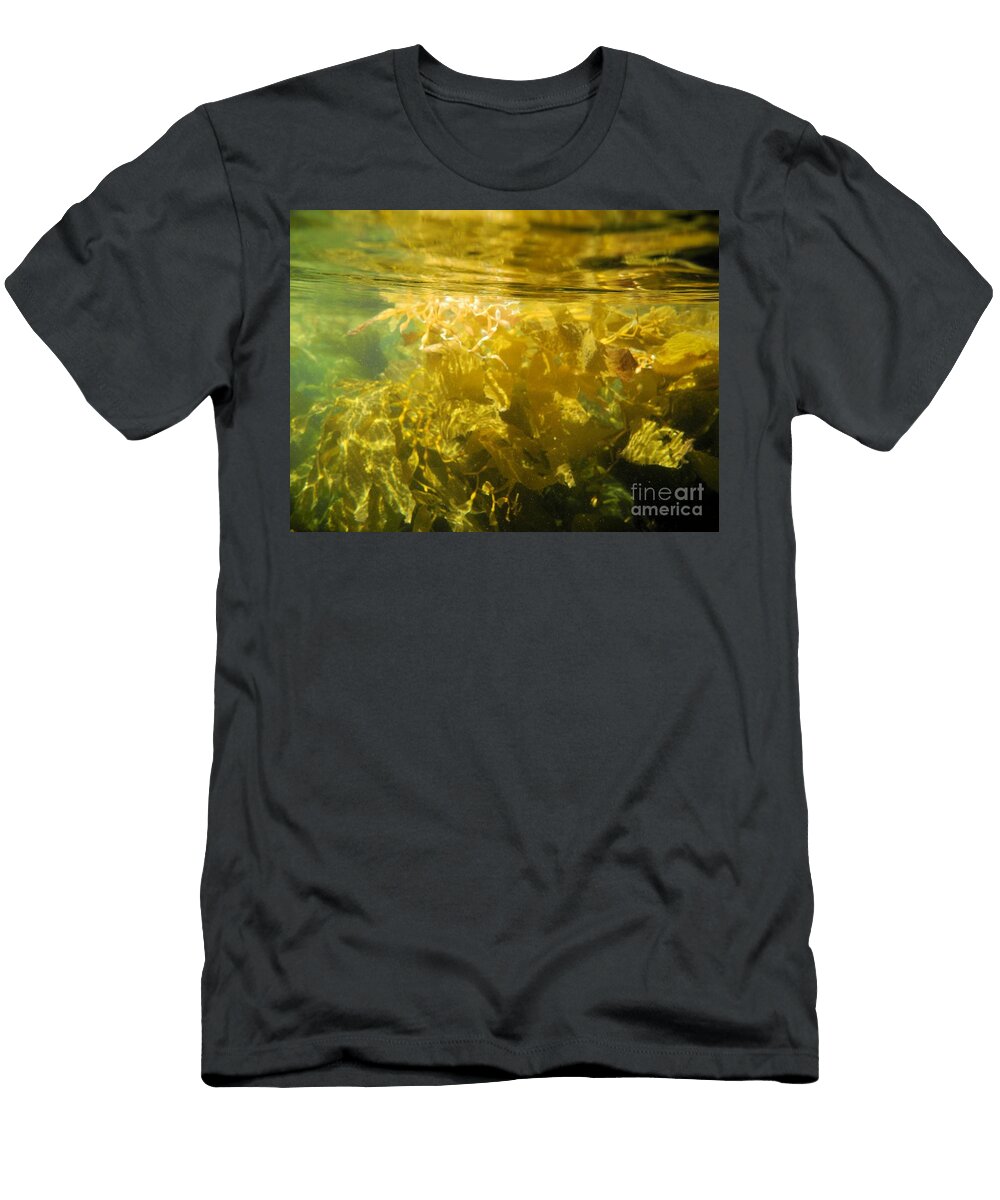 Pacific Ocean Kelp Adam Jewell T-Shirt