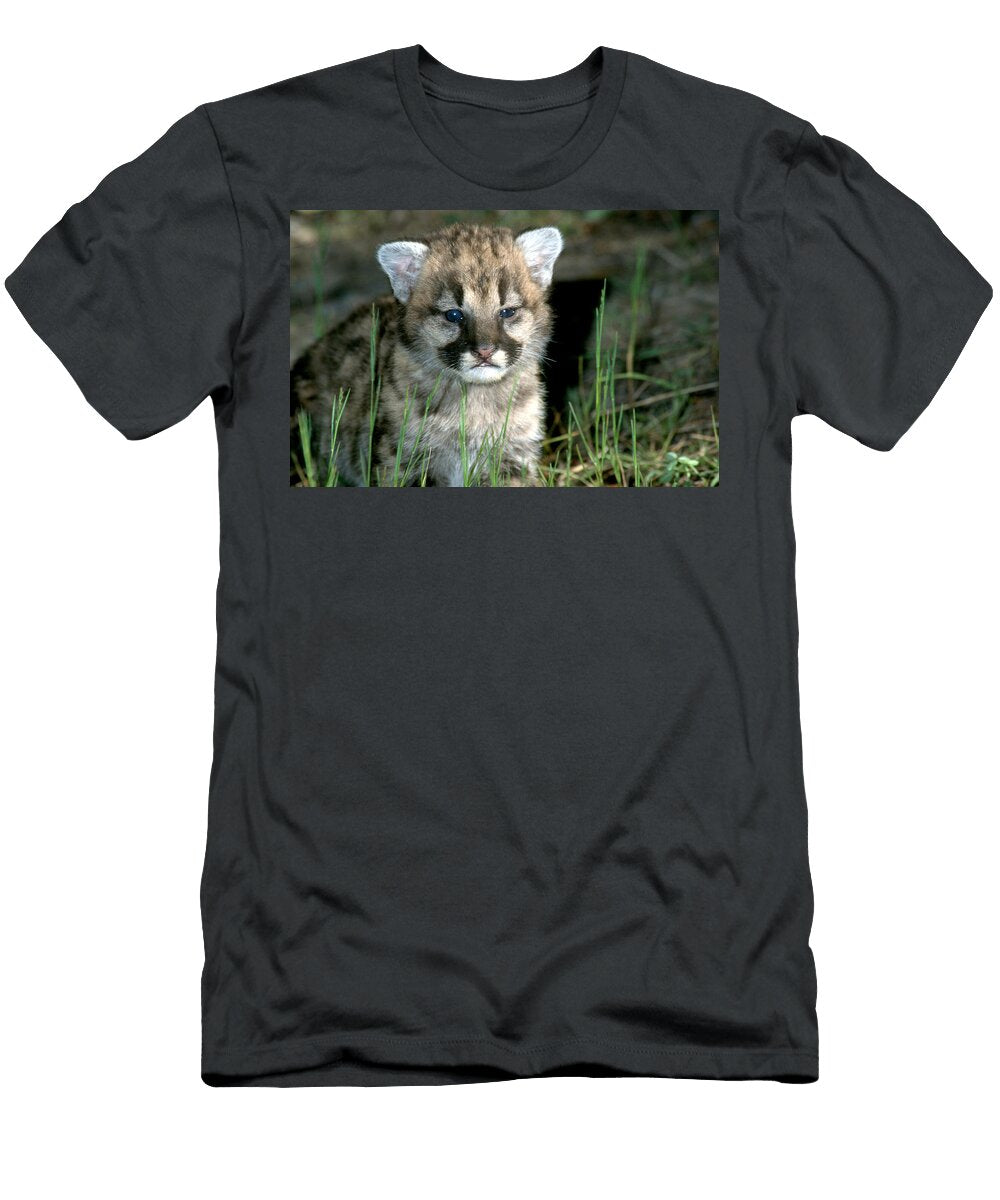 Panther Kitten Larry Allan T-Shirt
