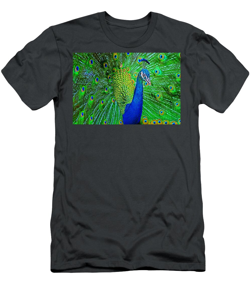 Peacock Nikolyn Mcdonald T-Shirt