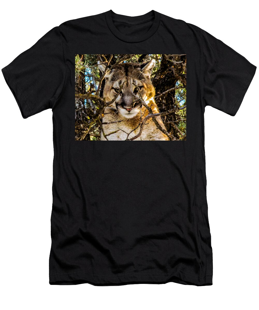 Perfect Cover Brady Dunne T-Shirt