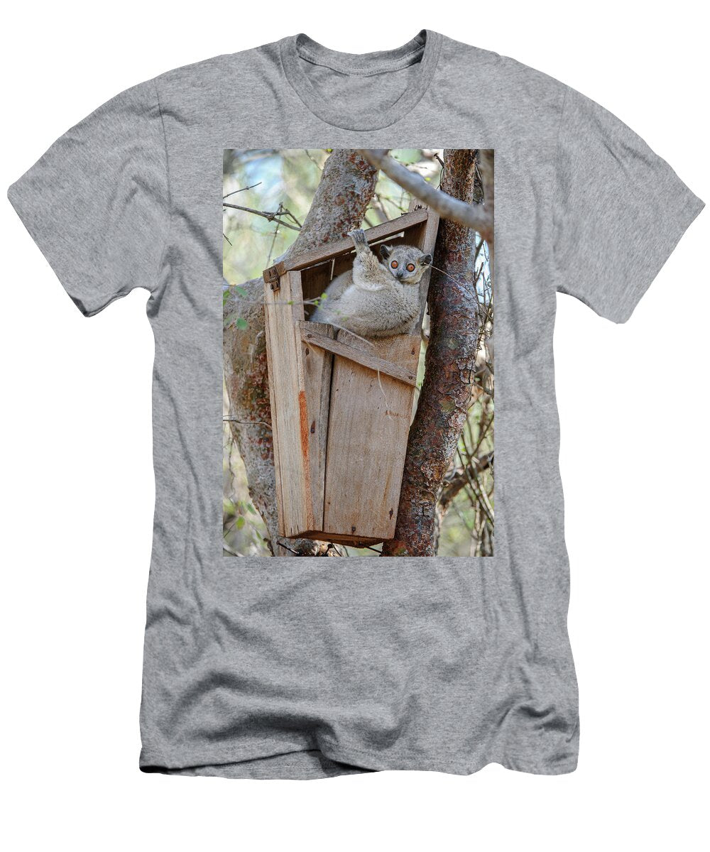 Petters Ssportive Lemur Using Artificial Box As Sleep Nick Garbutt Natureplcom T-Shirt