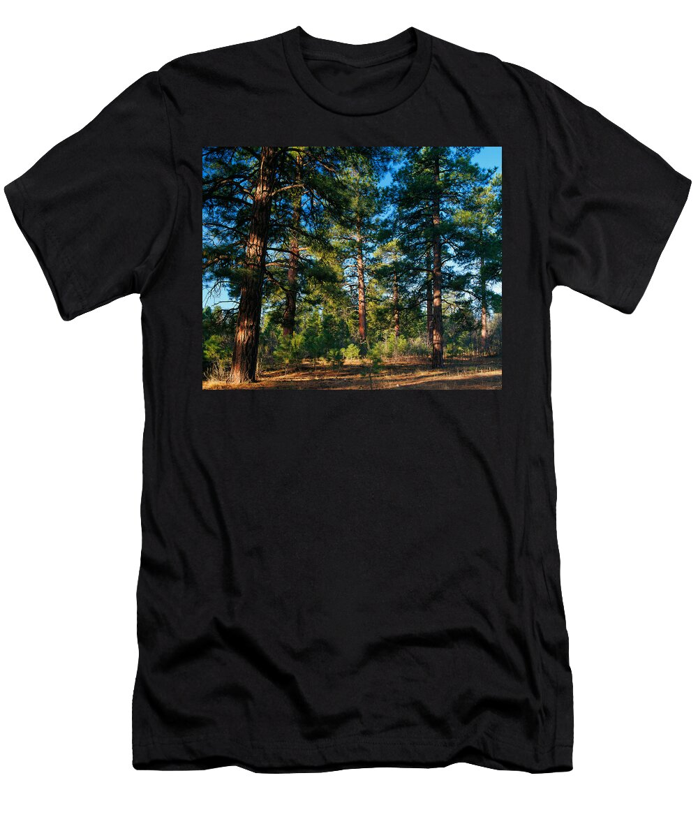 Ponderosa Pine Tree Forest Kaibab Panoramic Images T-Shirt