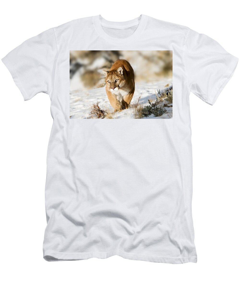 Prowling Mountain Lion Scott Read T-Shirt
