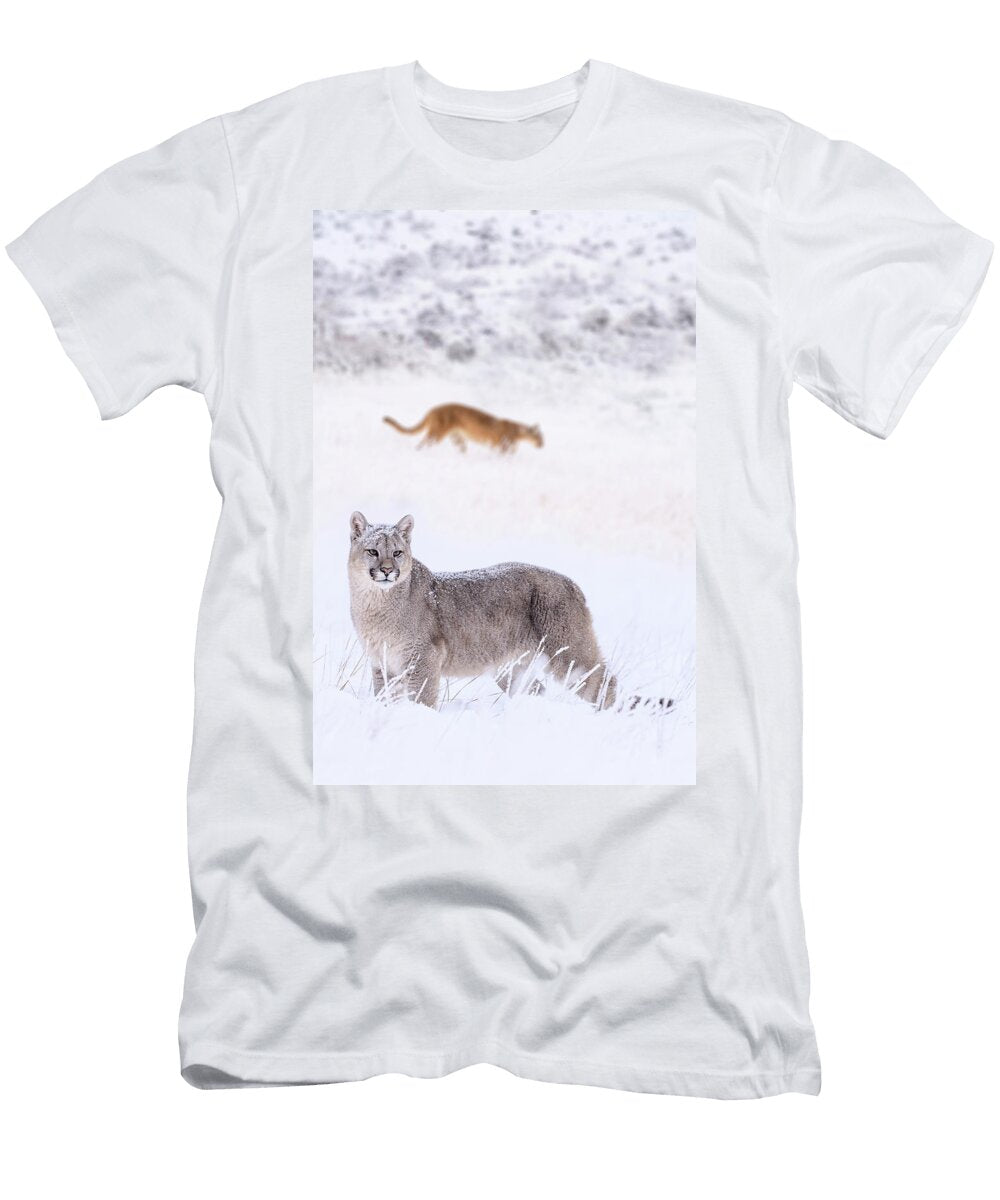 Puma Cub Aged Nine Months in Deep Snow with Mother in Nick Garbutt Natureplcom T-Shirt