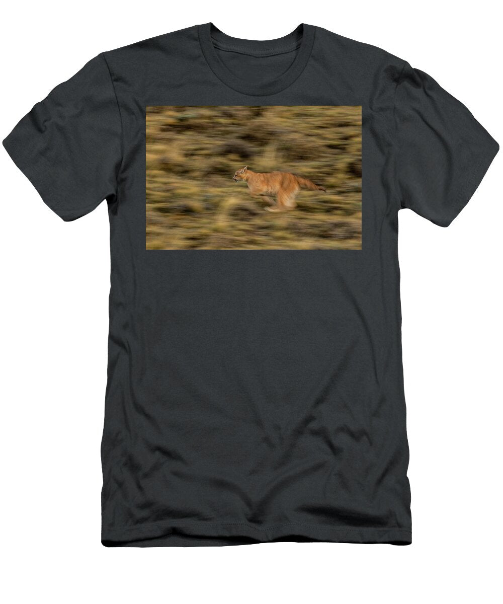 Puma Cub Running Torres Del Paine National Park Lucas Bustamante Natureplcom T-Shirt