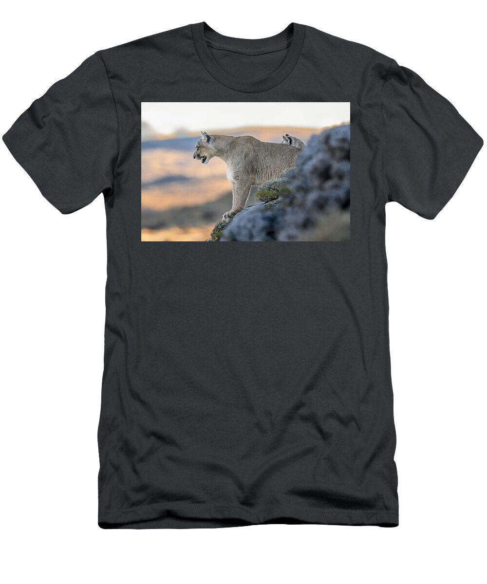 Puma Female Calling to Her Cubs From Rocky Outcrop on Nick Garbutt Natureplcom T-Shirt