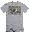 Puma Female Chasing Birds Prey Torres Del Paine National Nick Garbutt Natureplcom T-Shirt