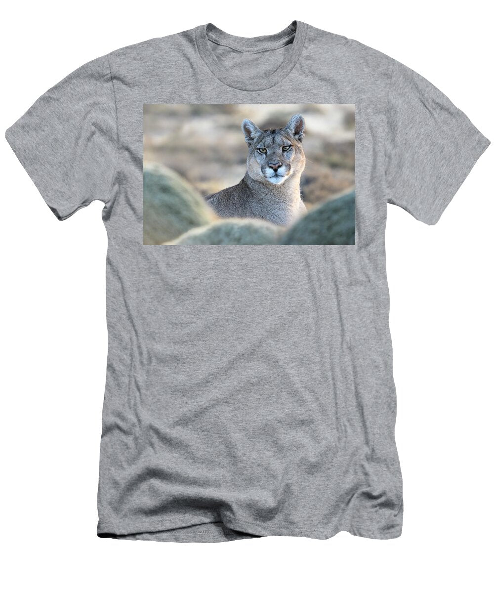 Puma Female Head Portrait Torres Del Paine National Park Nick Garbutt Natureplcom T-Shirt