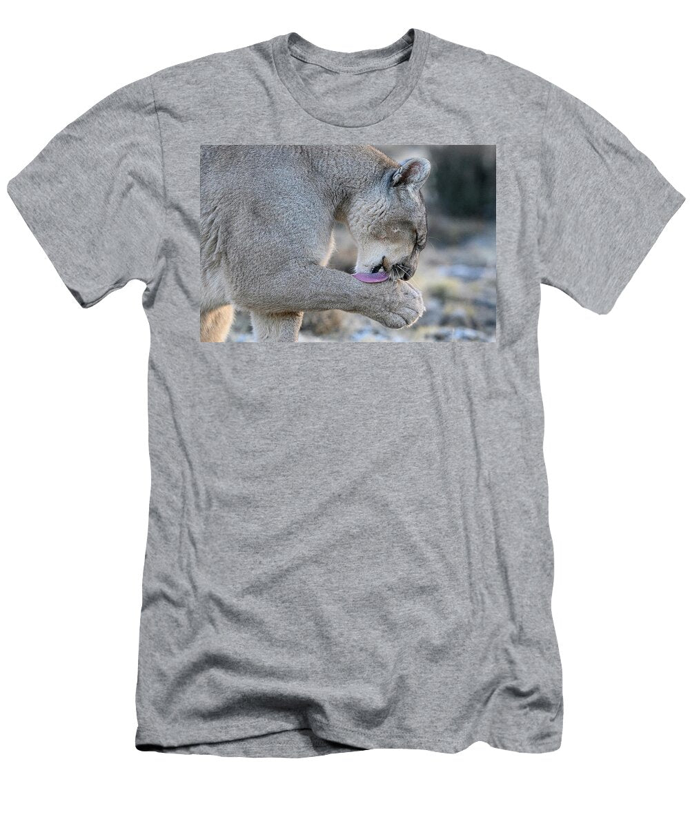 Puma Female Licking Paw After Feeding Torres Del Paine Nick Garbutt Natureplcom T-Shirt