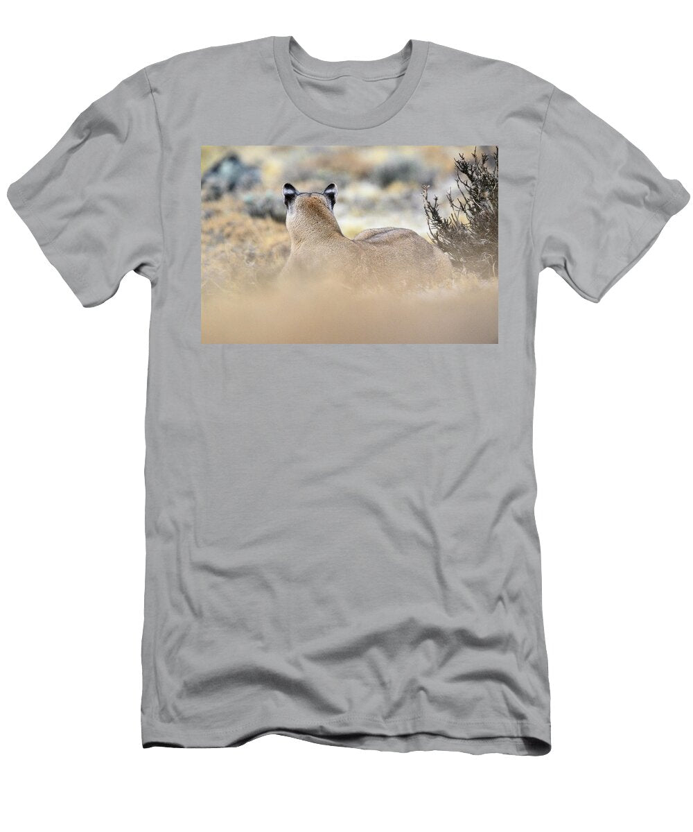 Puma Female Resting Torres Del Paine National Park Nick Garbutt Natureplcom T-Shirt