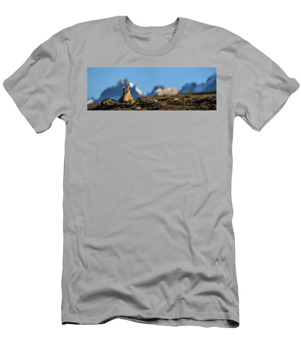 Puma Female Resting with Snow Covered Peaks of Torres Del Nick Garbutt Natureplcom T-Shirt