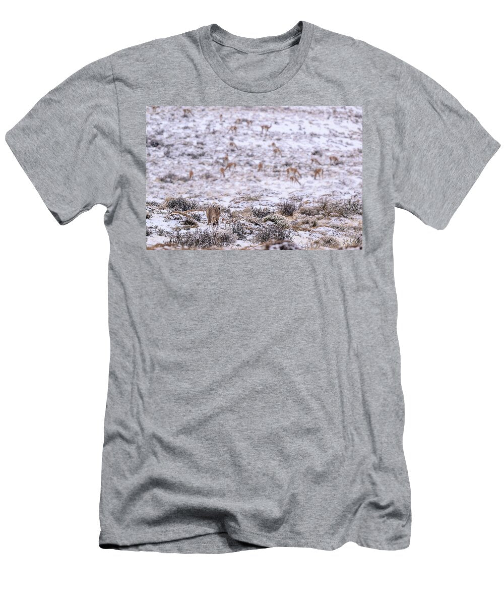 Puma Female Stalking Guanaco Herd on Hillside in Snow Nick Garbutt Natureplcom T-Shirt