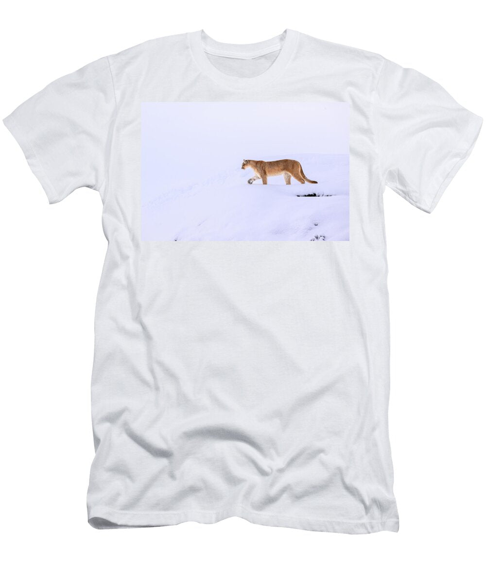 Puma Female Walking in Deep Snow Torres Del Paine Nick Garbutt Natureplcom T-Shirt