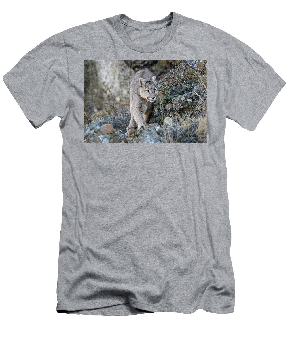 Puma Female Walking Over Rocky Hillside Torres Del Paine Nick Garbutt Natureplcom T-Shirt