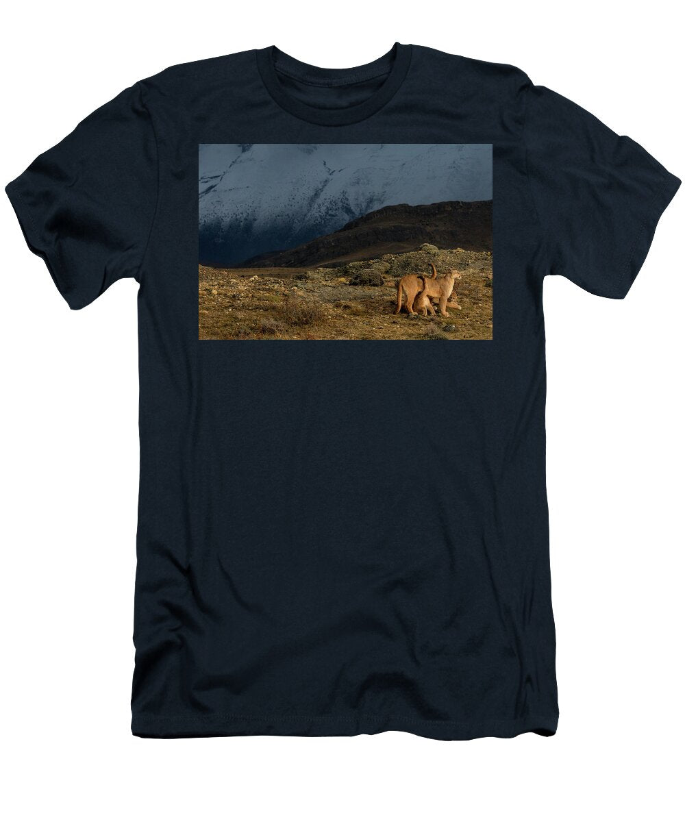Puma Female with Two Cubs Torres Del Paine National Park Lucas Bustamante Natureplcom T-Shirt