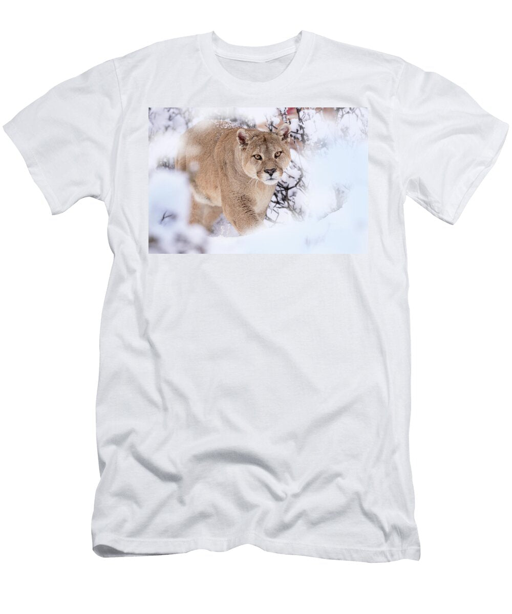 Puma Male Walking Through Snow Covered Bushes Torres Del Nick Garbutt Natureplcom T-Shirt