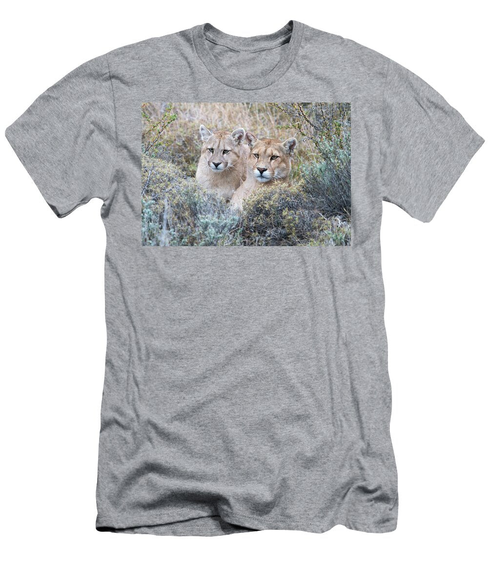 Puma Mom and Cub Max Waugh T-Shirt