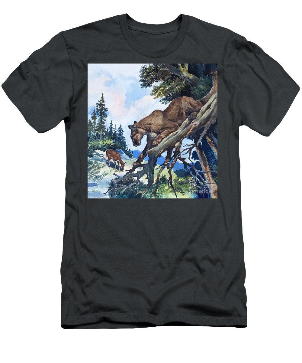 Puma on the Prowl Gw Backhouse T-Shirt