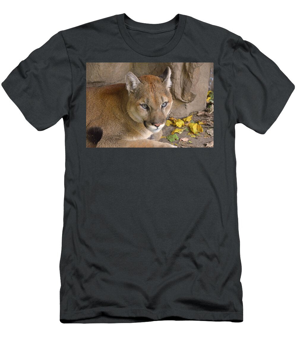 Puma Portrait Curt Remington T-Shirt