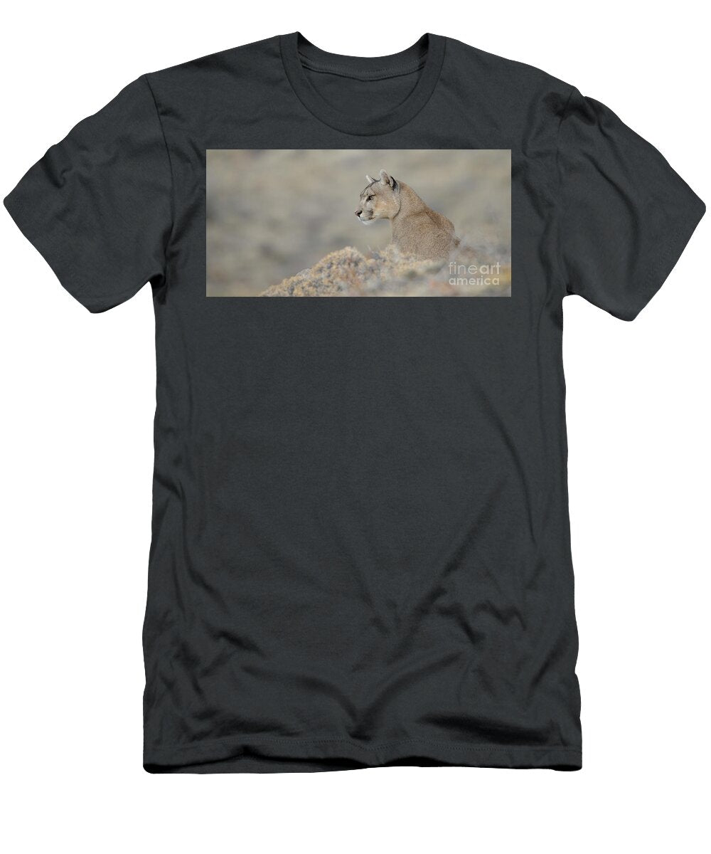 Puma Portrait Patrick Nowotny T-Shirt