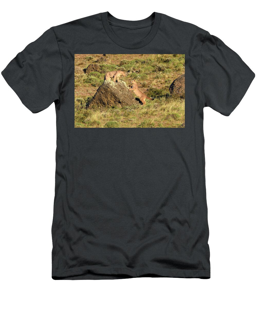 Puma Two Sub Adults Aged 12 to 13 Months Playing on Rock Nick Garbutt Natureplcom T-Shirt