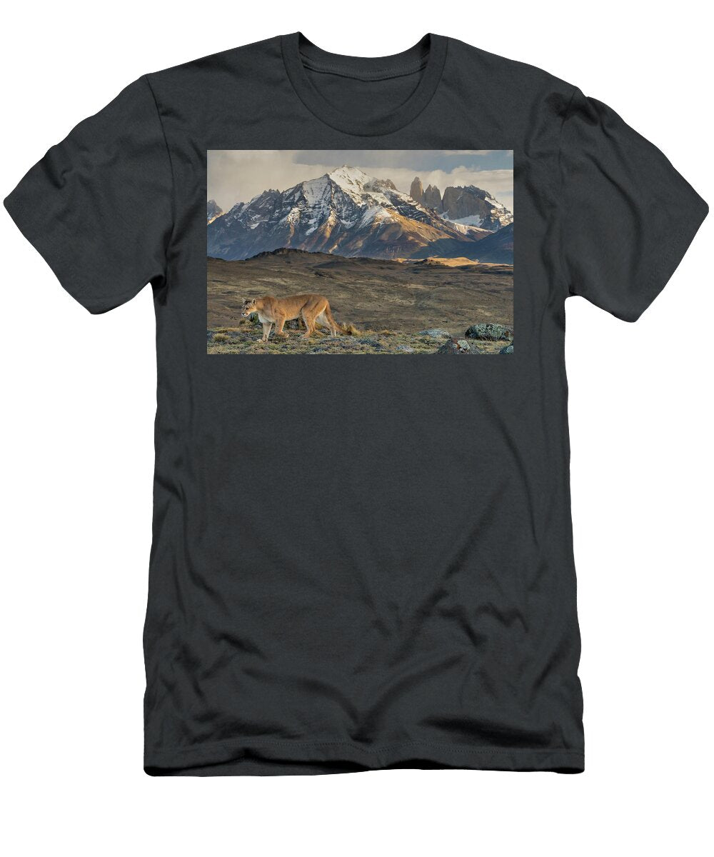 Puma Walking with the Torres Del Paine Mountains in Lucas Bustamante Natureplcom T-Shirt